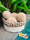 Boule coquillages cauris